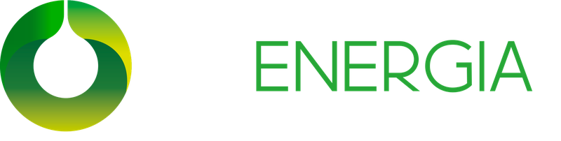 RM Energía, inicio