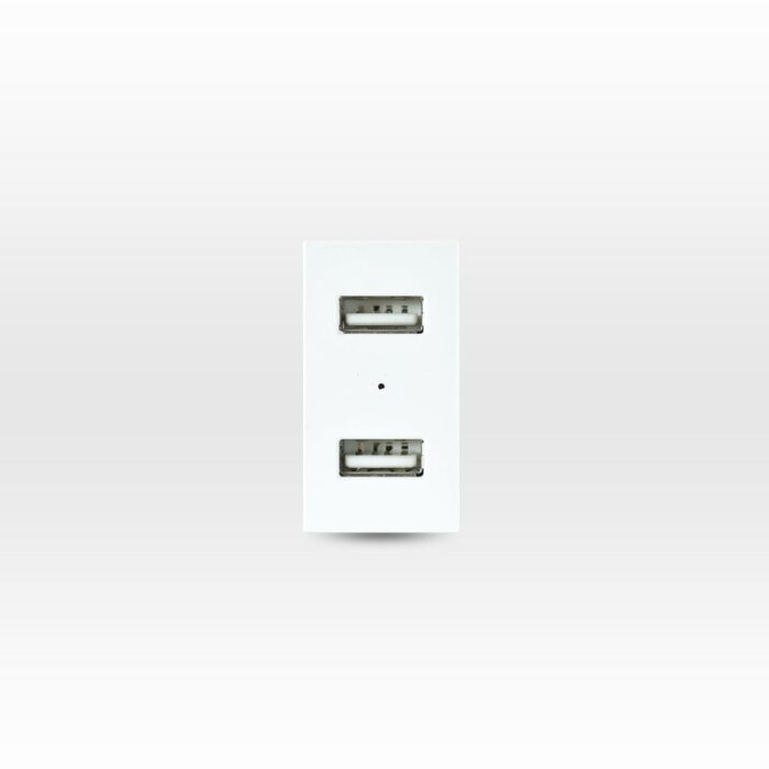 Módulo Toma Usb 5V C.c. 1100MA Blanco
