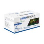Estaca Solar LED Megabright Lantem (set 2 unid) 6000K