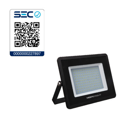 Proyector LED 100W Telco Pro 2700K Megabright