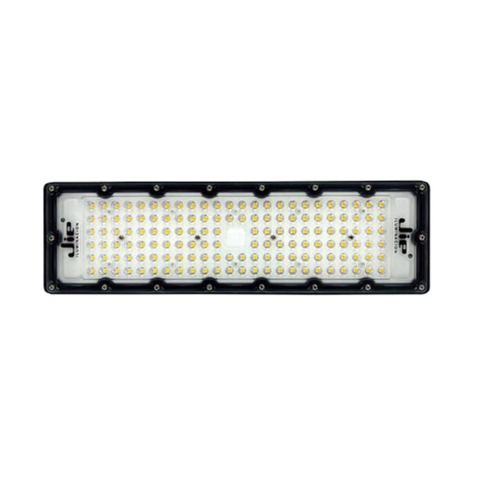 Proyector Industrial 100W IP66 170 lm/W IK10 DS01
